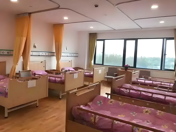 表来鸟我